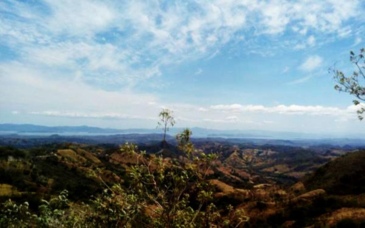 Hummingbird House B&B Monteverde Luaran gambar