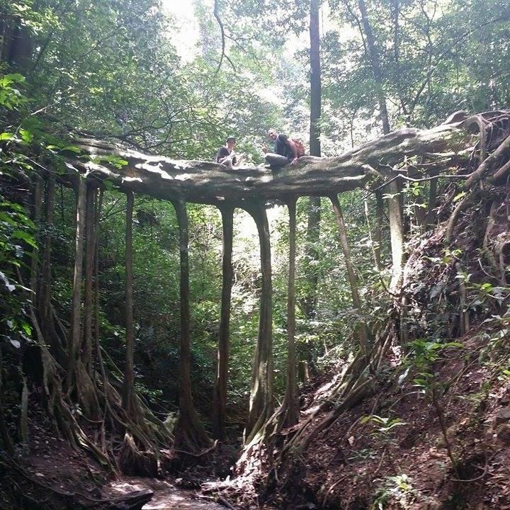 Hummingbird House B&B Monteverde Luaran gambar